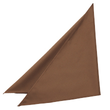 サーヴォ EA-6743 三角巾