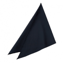 サーヴォ EA-5356 三角巾