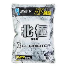 コーコス信岡 北極 -10℃　保冷剤　300ｇ（1個） [GI-47431]