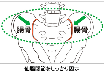 製品特性